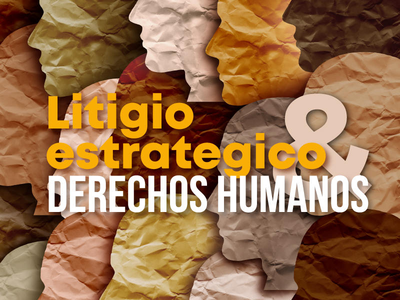 Litigio estratégico y Derechos Humanos