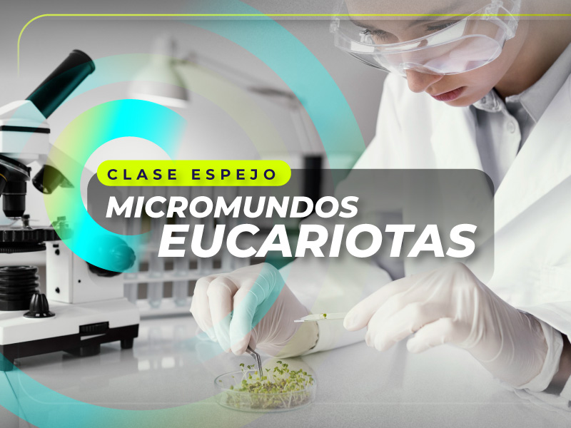 Clase espejo – Micromundos eucariotas