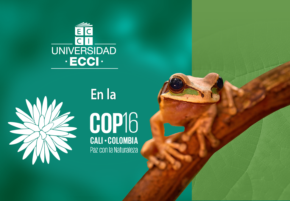 Previo a la COP16: Universidad ECCI en los eventos de la Red Nacional de Ingeniería Ambiental