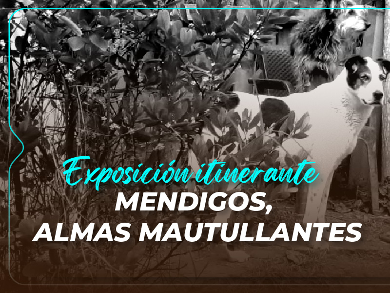 Exposición itinerante – Mendigos, almas mautullantes