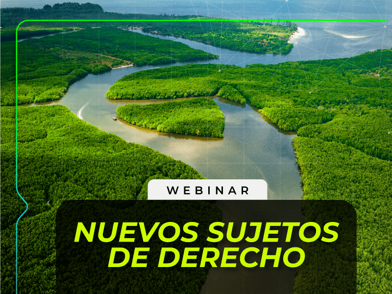 Webinar – Nuevos sujetos de Derecho