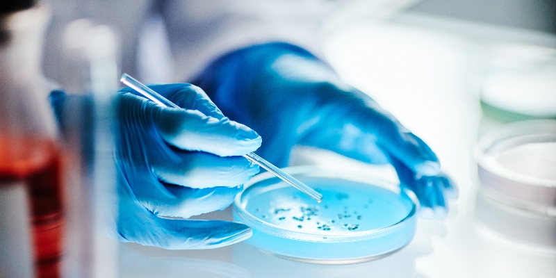 Ciencia, creatividad y diversión: así se vivió la Batalla Pokémon Microbiana Ciencia, creatividad y diversión: así se vivió la Batalla Pokémon Microbiana