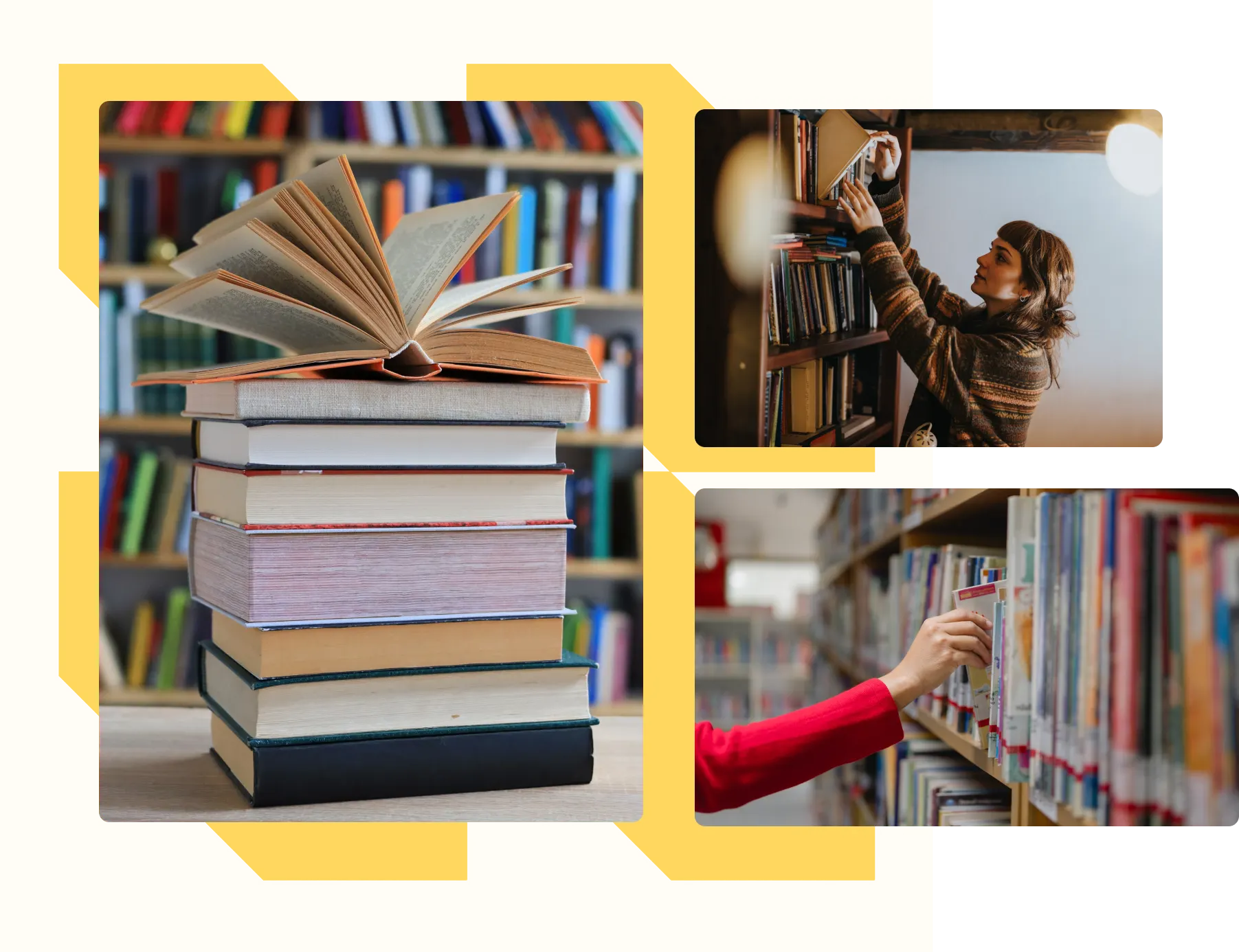 Biblioteca
