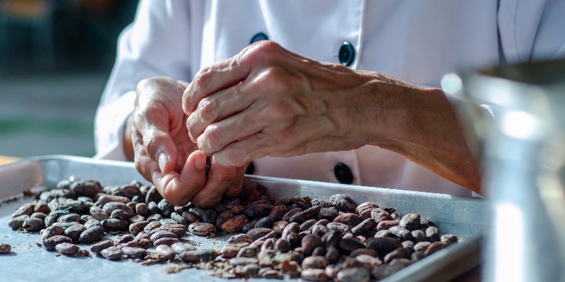 Cocina de territorio: los ingredientes colombianos que conquistan el mundo