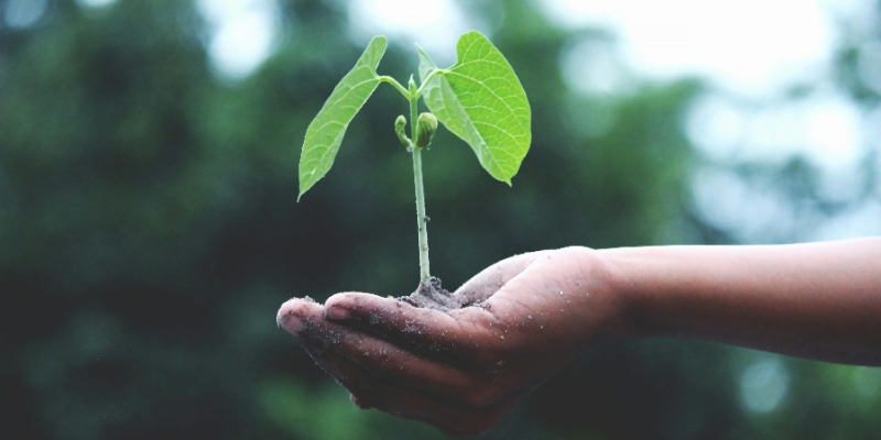 ¿Estamos formando ciudadanos sostenibles o solo informados? El reto de la Gerencia Ambiental en 2026