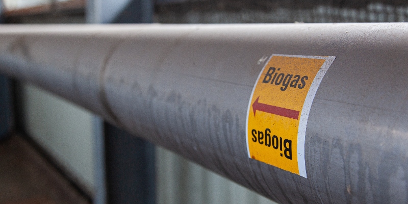 Energía sostenible en acción: así funciona la planta de biodigestión de la Universidad ECCI